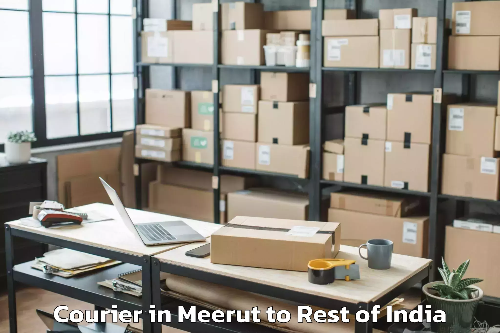 Leading Meerut to Kulgam Courier Provider